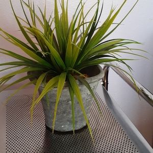 Meet your Posher, Scoob